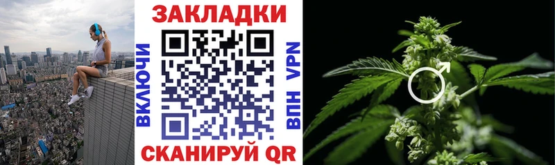 Где продают наркотики Печора ГАШ  КЕТАМИН  Меф мяу мяу  omg   Конопля 