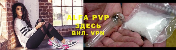 стаф Баксан