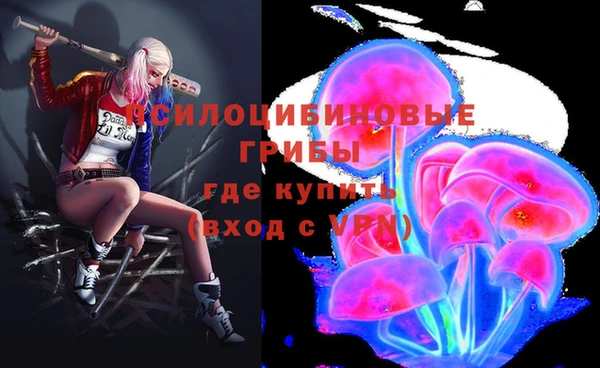 стаф Баксан