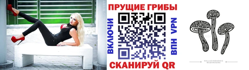 Галлюциногенные грибы Psilocybe  где купить наркоту  blacksprut ССЫЛКА  Печора 